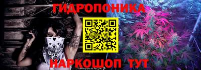 сатива Будённовск
