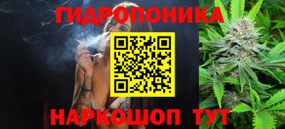 spice Бузулук