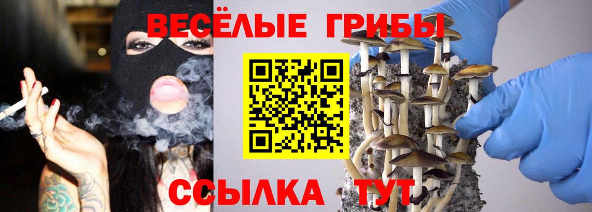 Псилоцибиновые грибы Magic Shrooms  Вход с VPN  Коммунар  Галлюциногенные грибы GOLDEN TEACHER 